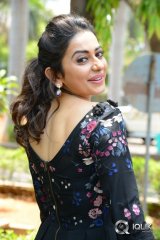 Rakul Preet Singh at Sarrainodu Movie Release Press Meet